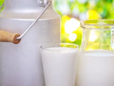 Цены на молоко растут: почему производители не могут воспользоваться спросом