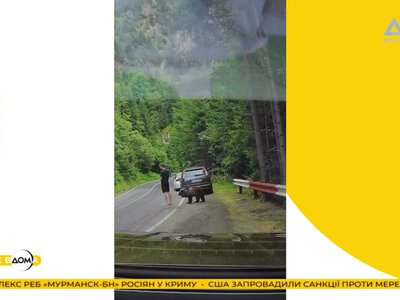 Захопився телефоном і не помітив ведмедя поруч: курйозний інцидент стався в Румунії (відео)