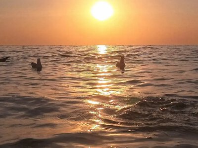 Море у Одессы еще теплое: какая температура воды будет 2 сентября