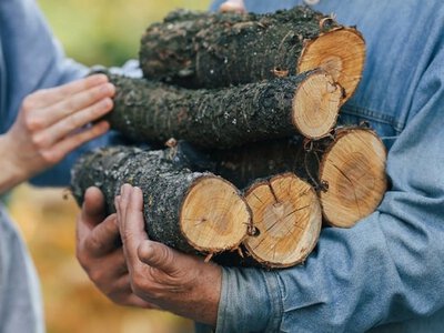 Как получить деньги на дрова в 2026 году: кому дадут субсидию и куда обращаться