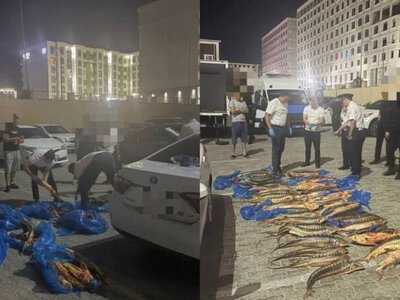 Полицейские изъяли более 200 кг осетра в Мангистауской области