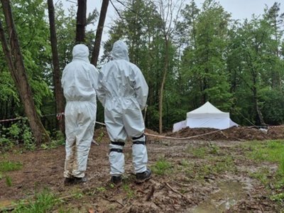 Польша впервые за долгое время разрешила Украине провести поисковые работы