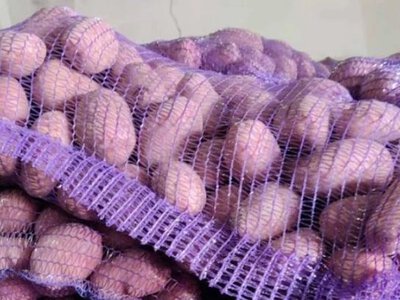 Картофель может подорожать на 40%: стоит ли запасаться уже в сентябре