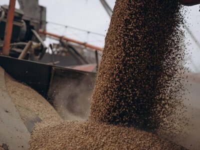  В ЕС ищут способы поддержать экспорт зерна из Украины: что предлагают 
