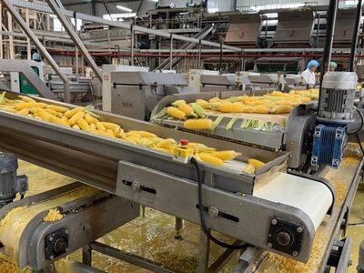 Завод по заморозке овощей и фруктов на 30 000 тонн ищет инвестора: подробности сделки