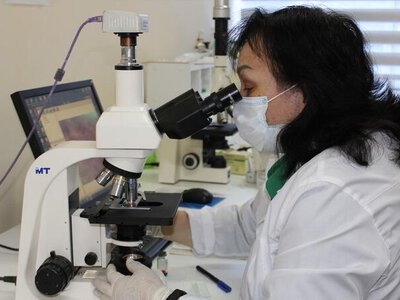 13,5 млн га перераспределенных сельхозземель, внедрение ИИ и развитие агронауки: как выполняются поручения Президента из Послания народу Казахстана