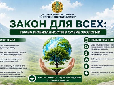 Знаем закон: Права и обязанности в сфере экологии