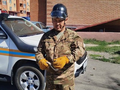  Незваный гость у дома: в Приозерске спасатели поймали змею 