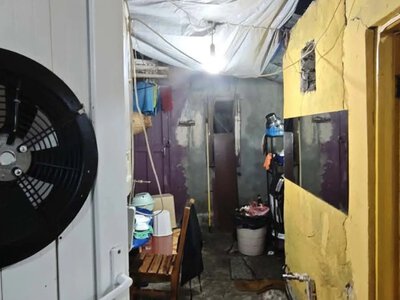 В Батуми приостановили работу тайского ресторана из-за антисанитарии