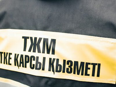  Пожар вспыхнул в предгорной зоне Алматы 