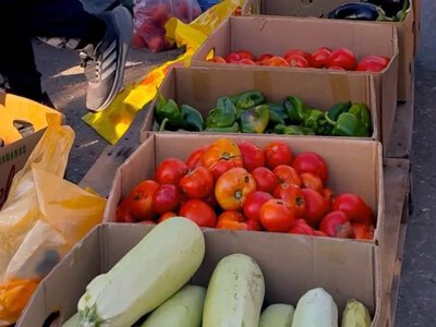  Полтонны говядины представили на ярмарке в Актобе 