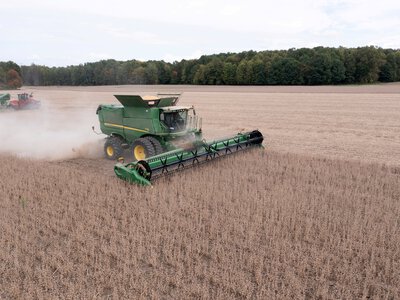 У США назвали штати, де врожайність кукурудзи та сої у 2026 році буде найнижчою
