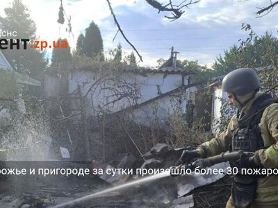 В Запорожье и пригороде за сутки произошло более 30 пожаров