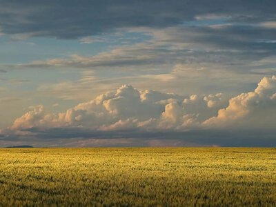 Погода в Украине на неделю: 7 – 13 сентября 2026