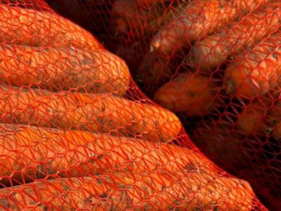 Морковь дешевеет три недели подряд: почему украинские фермеры сбрасывают цены