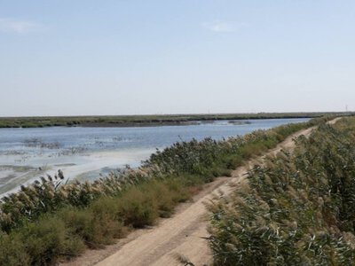  В Атырауской области принимают меры по установлению источников загрязнения воздуха 