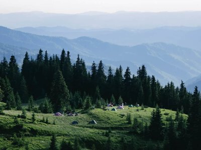 Купили запущенный дом в Карпатах: история семьи с двумя детьми породила дискуссию (видео) (Видео)