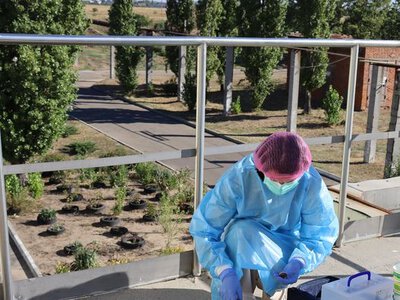 Стражи глобальной безопасности: в мире отмечают День полевой эпидемиологии