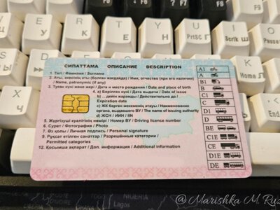  Два казахстанца лишились прав после махинаций с госномерами 