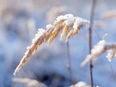 Зима в этом году будет необычной: что прогнозируют синоптики