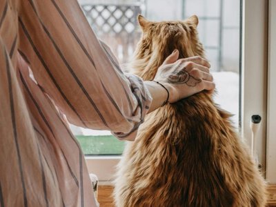 Шесть простых привычек, которые укрепляют память и внимание