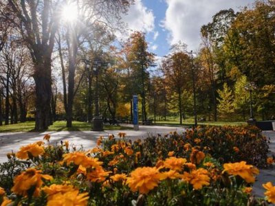 «Молодое бабье лето» уже пришло в Украину? Синоптики рассказали, когда начнется настоящая осень