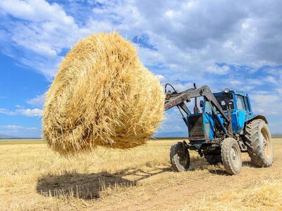 Жетісу готовится к зимовке: заготовлено уже 87% необходимого объема кормов