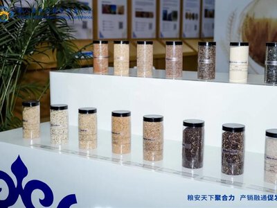 Продкорпорация открыла казахстанским экспортерам доступ к Китайско-Казахстанской зерновой платформе