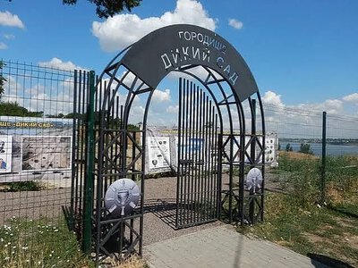 В Николаеве неизвестные устроили временное жилье на территории городища «Дикий сад»