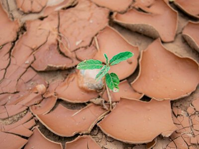 Ученые нашли способ быстрого, но временного охлаждения Земли