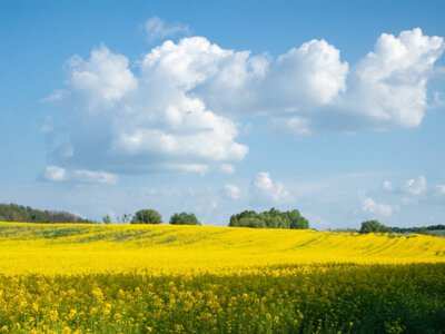 Антициклон определит погоду надо всей Украиной