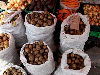 Картопля нового врожаю дешевшає на старті вересня: чи варто вже купувати запас на зиму