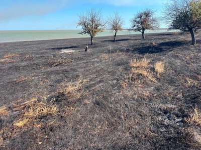 Одесская область теряет природные территории: что происходит в «Тузловских лиманах»
