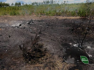 В Украине за неделю из-за вражеских атак выгорели 84 гектара леса