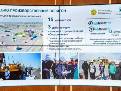 В Восточном Казахстане трудоустроены более 13,6 тыс. человек