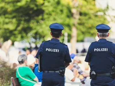 В Германии задержали подозреваемого в диверсиях на высоковольтной линии электропередачи: у него обнаружили взрывчатку