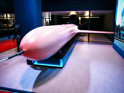 Фламинго, RAM-2X и Корал: что увидели гости оборонной выставки MSPO в Польше - фото