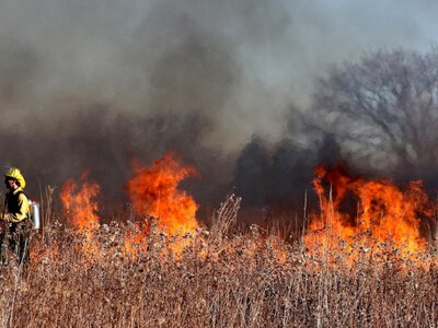  Сразу в двух районах Акмолинской области произошли природные пожары 