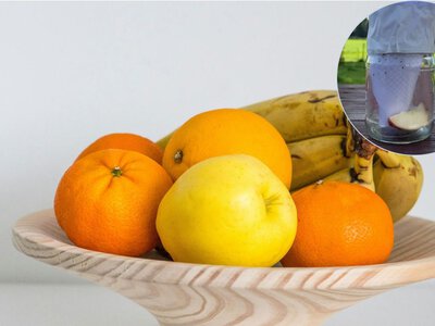 Как сделать очень эффективную ловушку для плодовых мушек: все необходимое уже есть дома