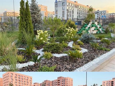 Ко Дню города в Алматы определили 16 участников конкурса «Лучшая зеленая школа»