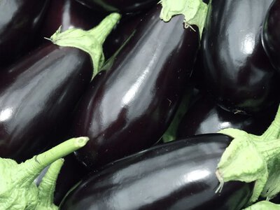 24 часа и баклажаны по-корейски готовы: хрустящие, с пряностями и кислинкой