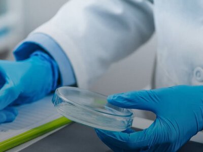Для производителей кормов ввели единые правила расчета стоимости услуг