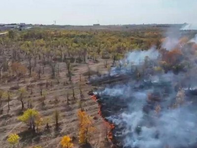  7 гектаров сухой травы горят в Караганде: что известно 