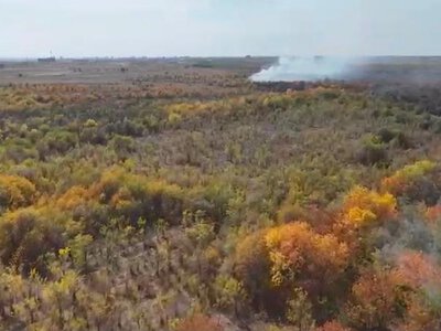 В Караганде запах гари: спасатели ликвидируют возгорание сухой травы