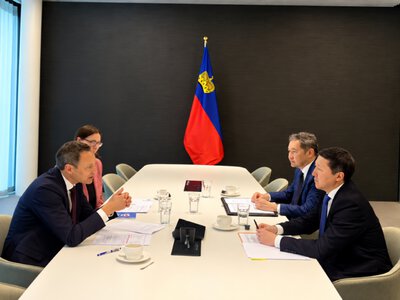 Казахстан и Лихтенштейн налаживают двустороннее сотрудничество