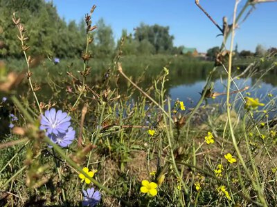 Ущерб на миллиарды: в нацпарке на Одесчине уничтожили озеро и гнездовье редких пеликанов
