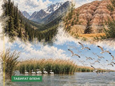 Места, где природа сохраняет свой первозданный облик