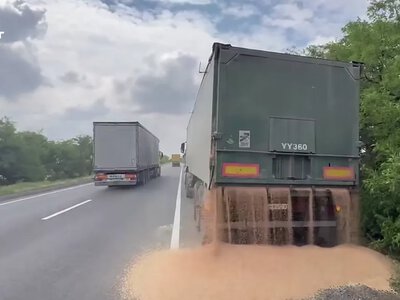 Водитель выгружал груз прямо на дорогу в Николаевской области, пытаясь избежать ответственности за перегруз (видео)