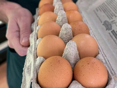  В Калифорнии 23 человека заразились сальмонеллезом из-за яиц 