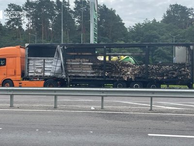 Россия приближает удары к НАТО, Трамп требует остановить атаки на РФ: чего ждать зимой